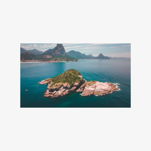 Boat Tour - Snorkeling with Turtles or Whale Watching Experience, Family of 4